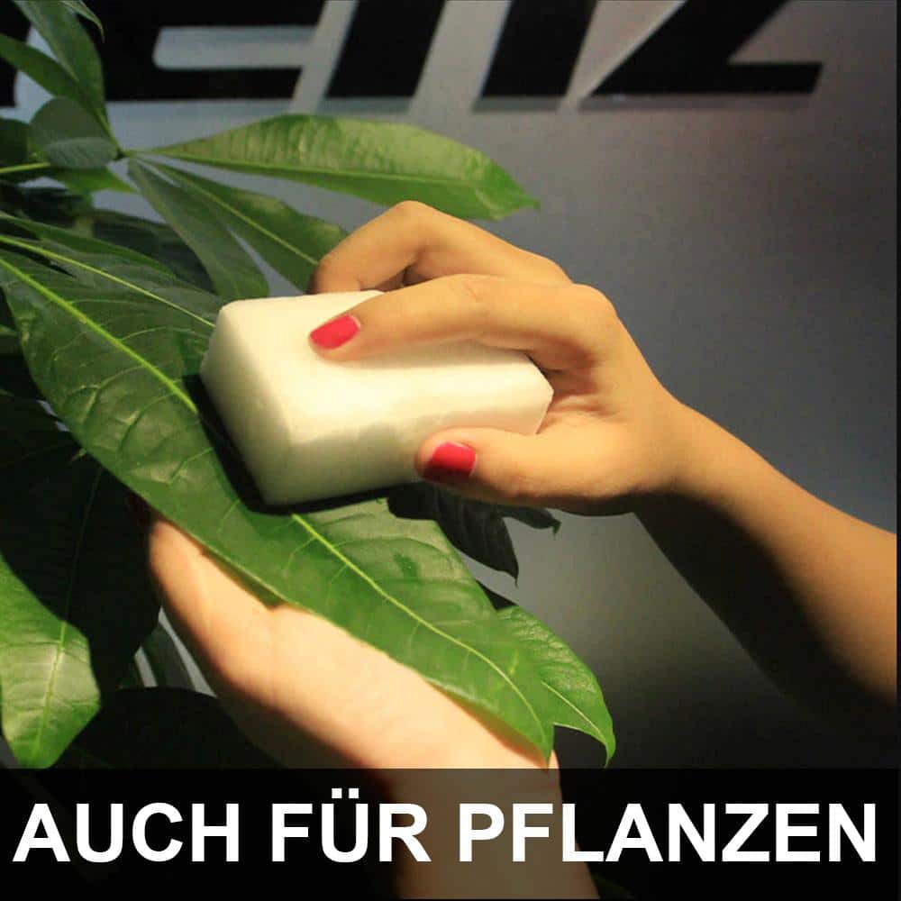 Blatt einer Pflanze wird mit weißem Schwamm gereinigt, Text „Auch für Pflanzen“ im Bild