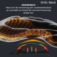 Thumbnail for Grafisch gezeigter Oberkörper mit sichtbarer Wirbelsäule auf Rückenstrecker mit blauer Auflagefläche