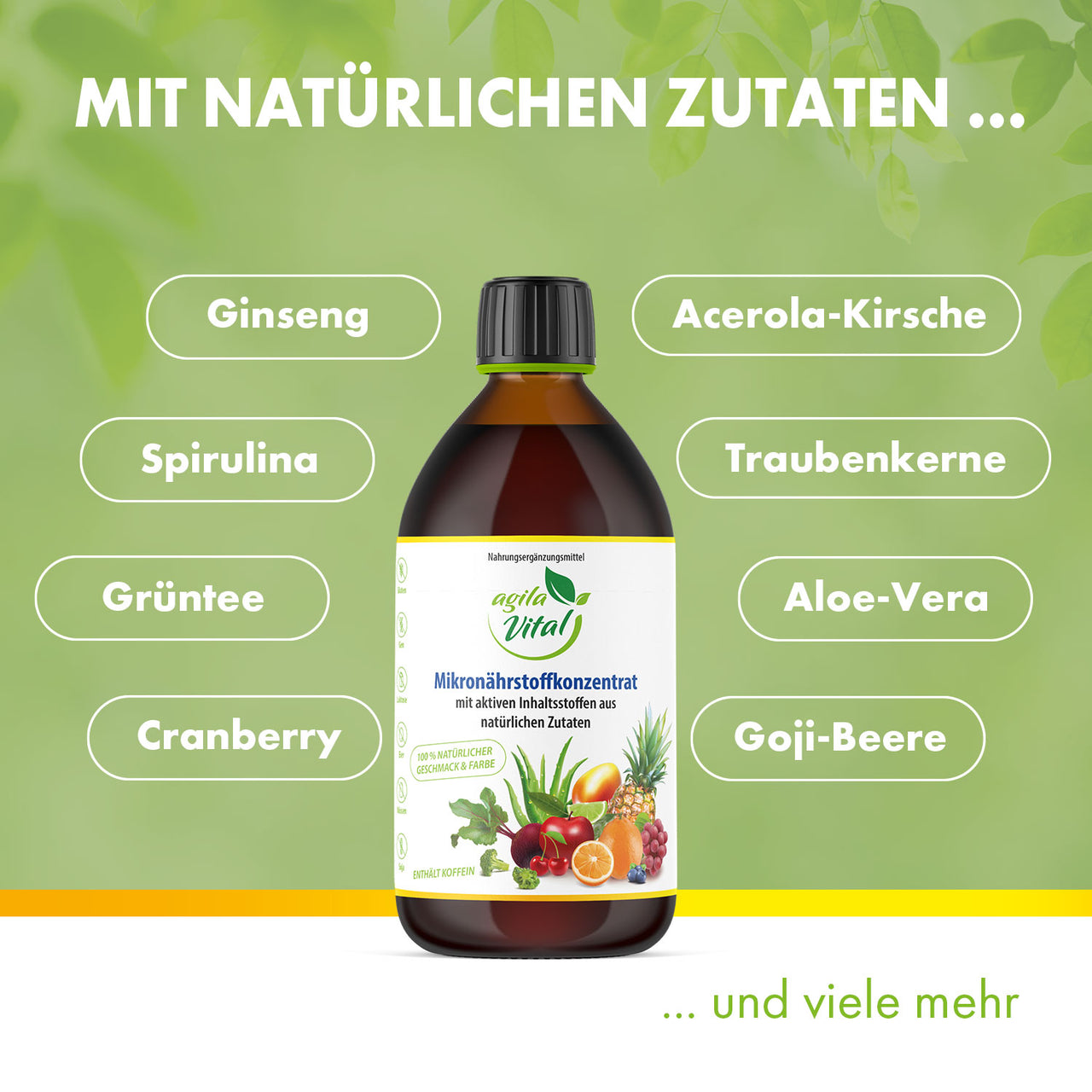 AGILA VITAL Mikronährstoffkonzentrat (500 ml)