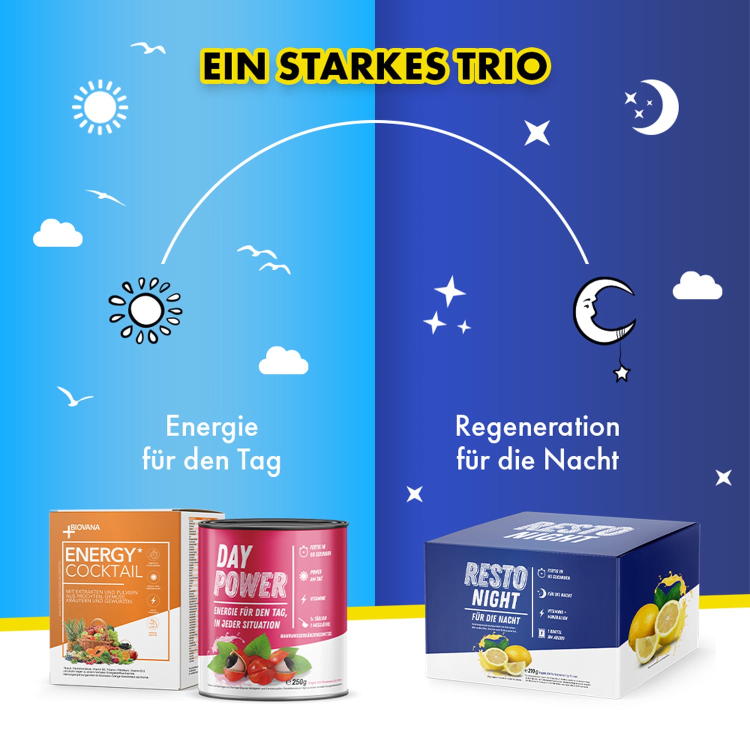 Infografik Tag Nacht Konzept mit Biovana Energy Cocktail Day Power und Resto Night Boxen