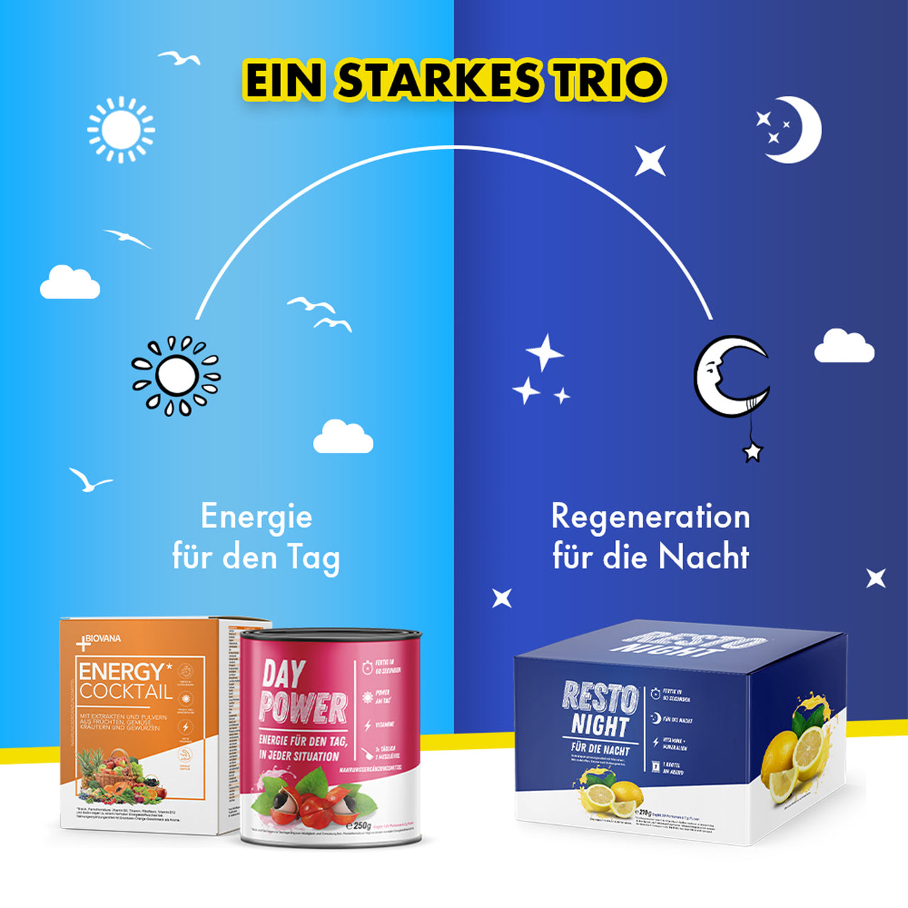 Infografik Tag Nacht Konzept mit Biovana Energy Cocktail Day Power und Resto Night Boxen