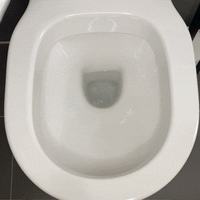 Thumbnail for GREEN TORNADO (1000 g) - Hochwirksamer WC-Reiniger mit Aktivschaumformel