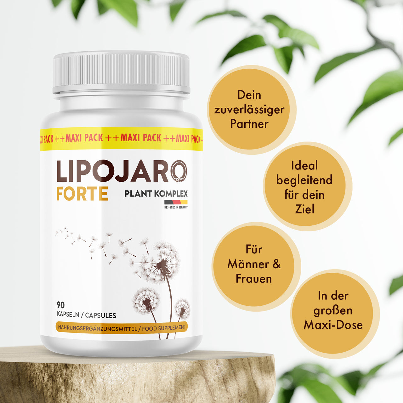 Dose Lipojaro Forte Plant Komplex auf Holz mit vier goldenen Infokreisen und grünen Blättern