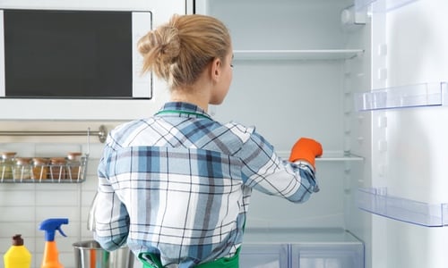 kühlschrank reinigen putzen sauber machen frau lappen spray putzmittel gummihandschuhe