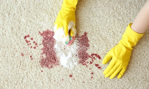 blutflecken entfernen sofa teppich matratze seife gummihandschuhe