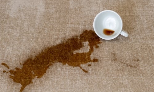 kaffeeflecken entfernen sofa polster