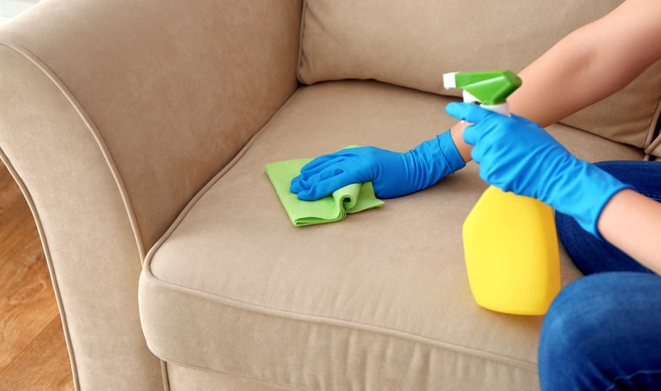 polster reiniger gummihandschuhe spray tuch sofa