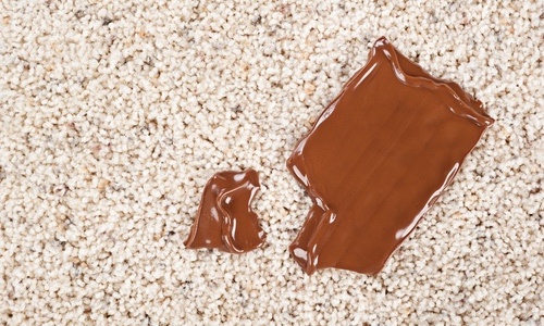schokoladenflecken entfernen schokolade teppich