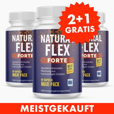 NATURAL FLEX FORTE (90 Kapseln) 2+1 GRATIS - Pflanzen-Extrakt-Komplex für Schutz & Stärkung